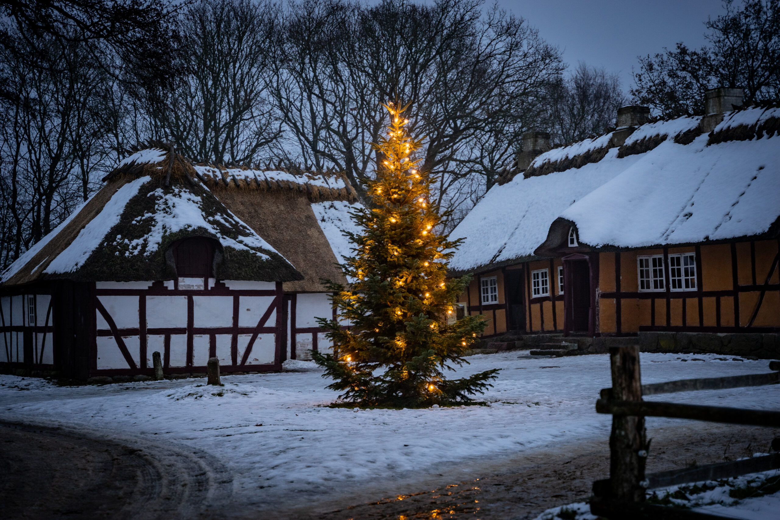 Juletræ ved den gamle kro